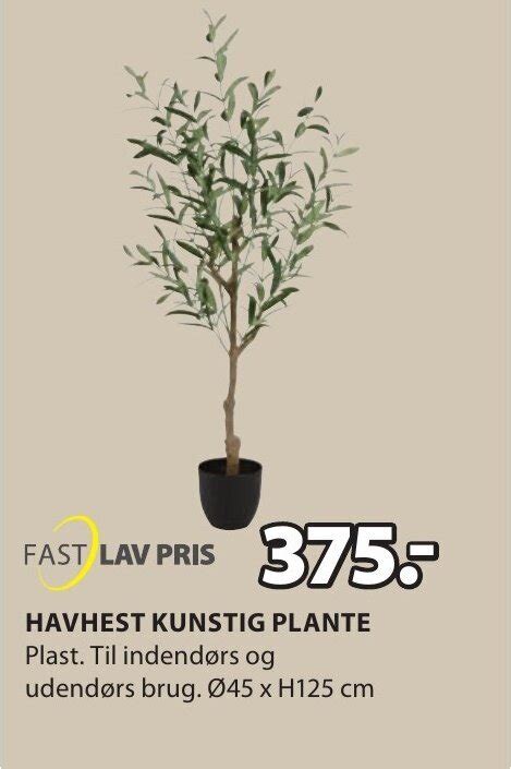 HAVHEST KUNSTIG PLANTE Tilbud Hos JYSK