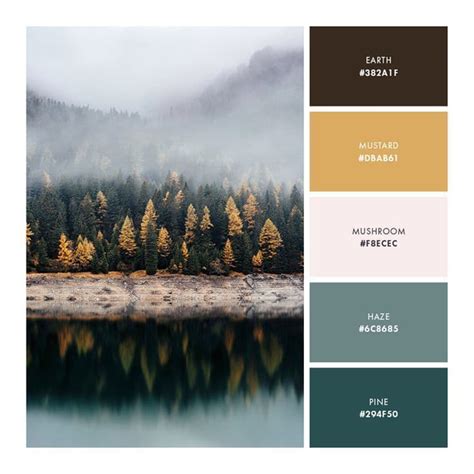 Winter Color Palette Offeo