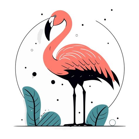 Premium Vector Flamingo Vector Illustration Hand Drawn Flamingo On