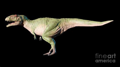 Artwork Of Giganotosaurus 9 By Mark Garlickscience Photo Library