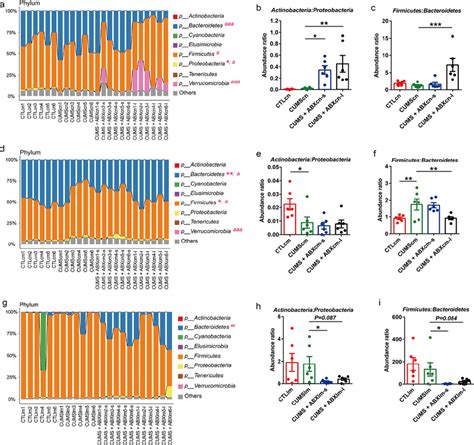 Antibiotic Exposure Alters The Composition Of Gut Microbiota At The