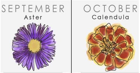 Do You Know Your Birth Flower Find Out What It Says About Your Personality Birth Flowers