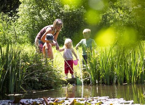 Luxury Holiday Cottages In Devon Compton Pool Farm Luxury Holiday