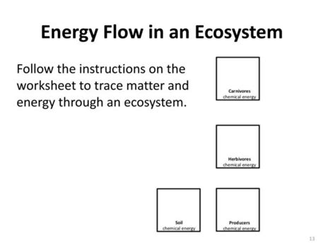 Ecosystems Unit Activity 34 Tracing Energy Through An Ecosystem With Energy Flow In Ecosystems