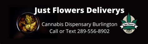 Burlington Cannabis Dispensary And Weed Delivery Burlington