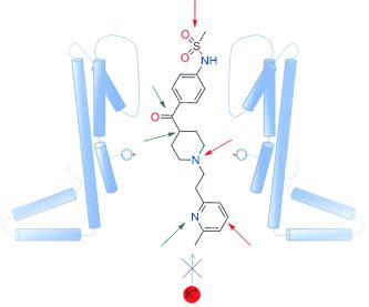 Understanding Of Molecular Substructures That Contribute To Herg K