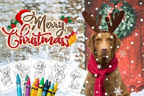 95 Best Holiday Dog Christmas Puns For A Fun And Festive Season