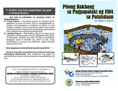 Pitong Hakbang Sa Pagpapalaki Ng Isda Sa Palaisdaan By Westly Rosario