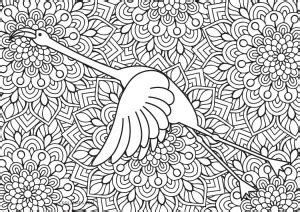 Coloriages Flamant Rose Coloriages Gratuits Imprimer