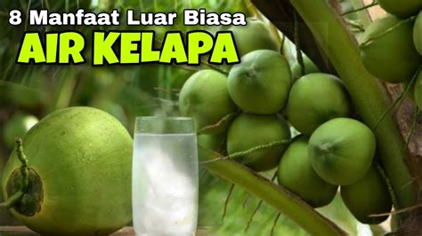 Inilah 8 Manfaat AIR KELAPA Untuk Kesehatan Tubuh SOBAT SEHAT YouTube