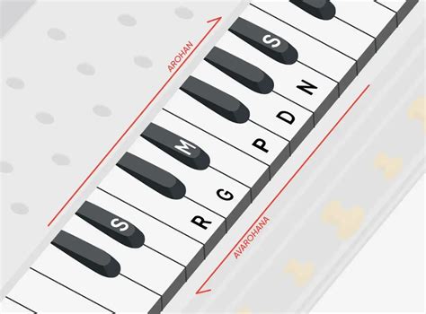 Vocal Exercises To Help You Improve Your Carnatic Singing