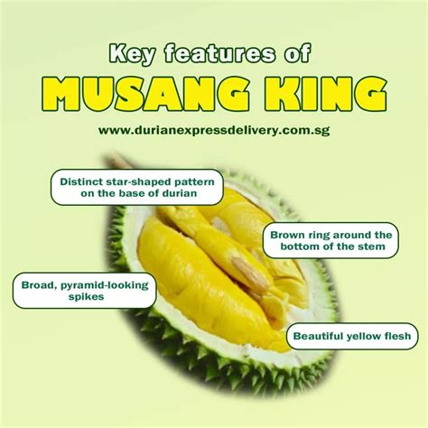 mao shan wang durian guide spotting authenticity