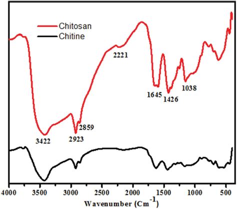 Ftir Spectra Of Pure Chitosan And Prepared Chitosan Nanoparticles