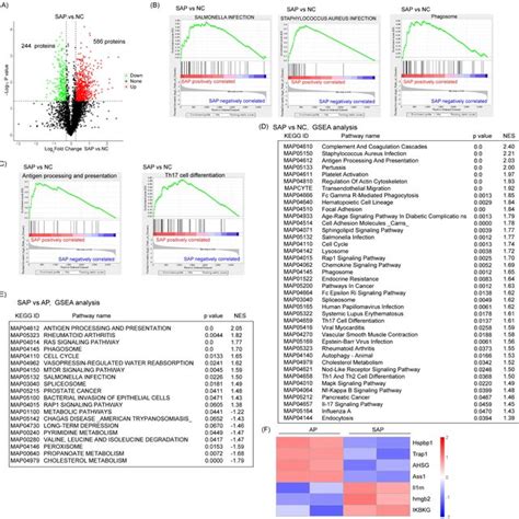 Global Profiling Of Protein Expression Changes In Sap In Rats A