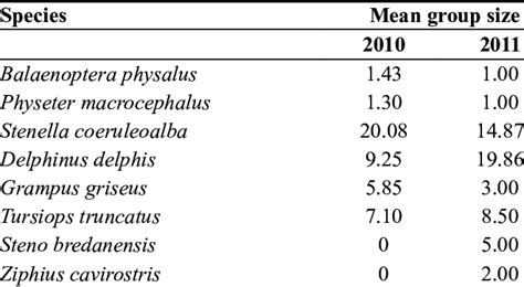 group size statistics  table