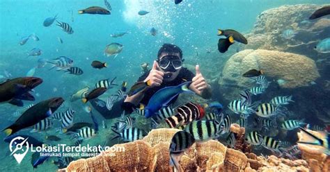 Wisata Karimun Jawa Surga Tersembunyi Di Utara Jawa Tengah