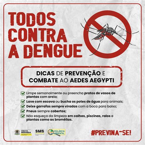 Dengue Rio De Janeiro Elana Melisa