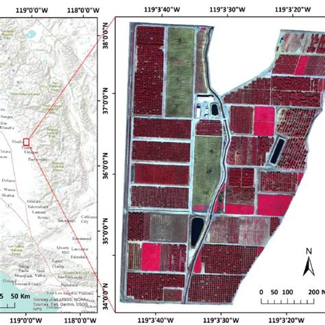 Examples of green (a), red (b), red edge (c) and near infrared (d ...