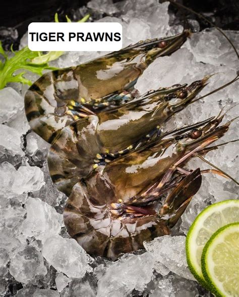 Tiger Prawns Fresh Chilled /kg - Daily Harvest