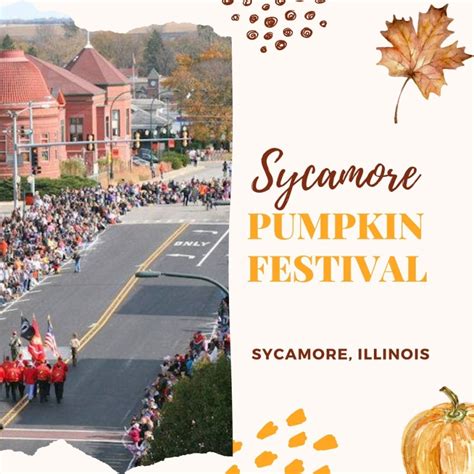 Sycamore Pumpkin Festival Carlyn Gwenora