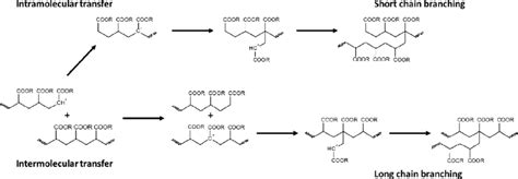 Scheme Intramolecular And Intermolecular Paths For Transfer To