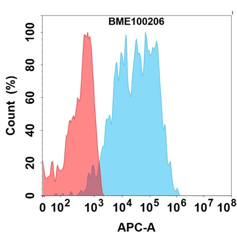Anti-CD19(loncastuximab biosimilar) mAb - DIMA Biotechnology