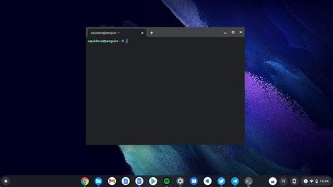 How To Set Up Linux On Your Chromebook Dignited