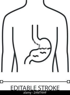 Intestines Transplant Line Icon Vector Illustration Stock Vector Image