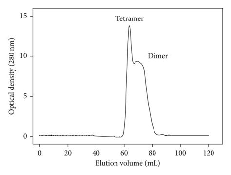 Gel Filtration Chromatographic Analysis Gel Filtration Chromatography Download Scientific