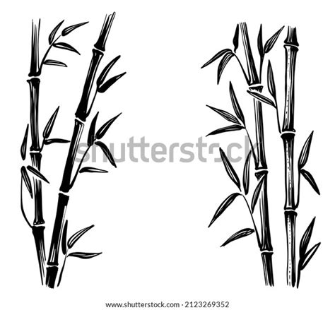 Bamboo Sketches Vector Leaves Tree Stock Vector (Royalty Free) 2123269352 | Shutterstock