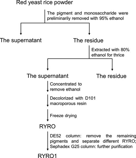 Flowchart Showing Isolation And Purification Of Ryro From Red Yeast