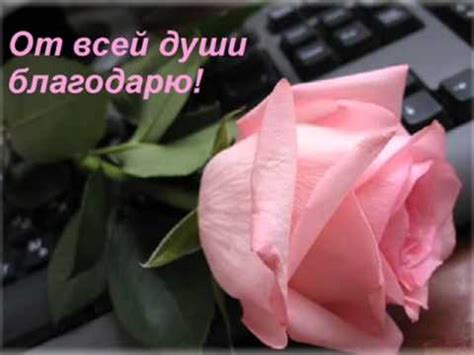 СПАСИБО ОГРОМНОЕ ЗА ПОЗДРАВЛЕНИЯ! - YouTube
