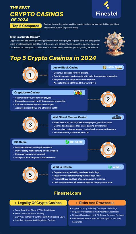 The 16 Best Crypto Casinos of 2024 + Infographic | FINESTEL