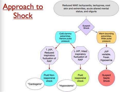 Shock Flashcards Quizlet