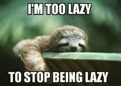 40 Best Sloth Meme - Meme Central