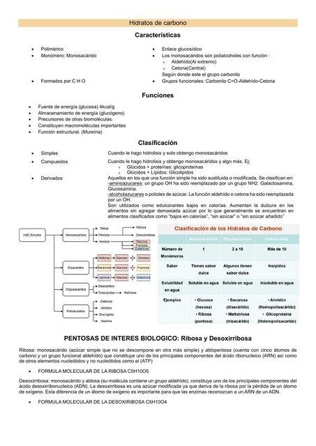 Hidratos De Carbono HighWayToMed UDocz