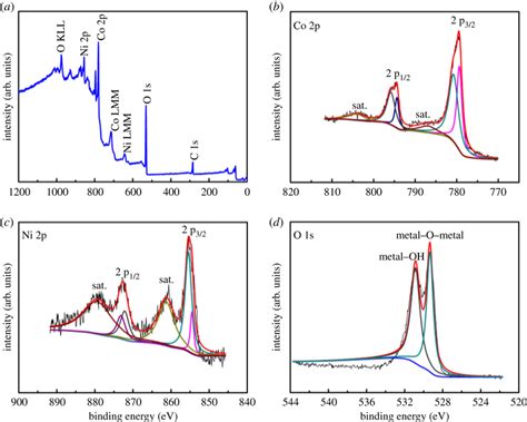 Xps Spectra Of Co Ni Oh D A Wide Scan Spectrum And