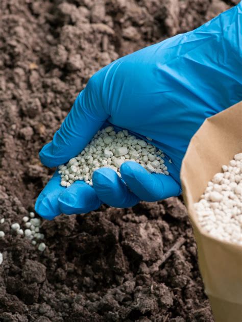 9 Fertilizer Mistakes Hurting Your Plants And How To Fix Them