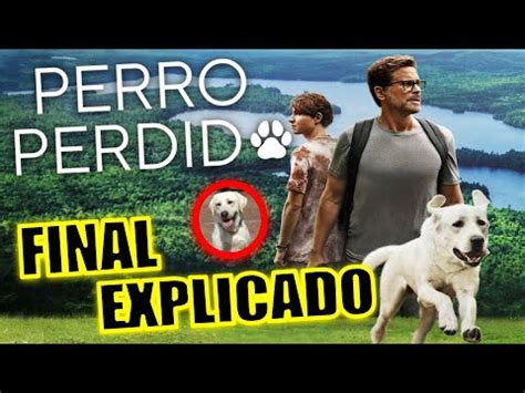 FINAL EXPLICADO PERRO PERDIDO PELICULA FINAL EXPLICADO PERRO