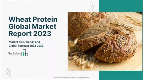 Ppt Wheat Protein Market Size Share Trends Analysis And Future