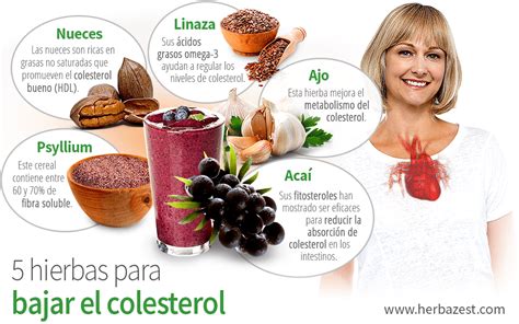 5 Hierbas Para Bajar El Colesterol HerbaZest