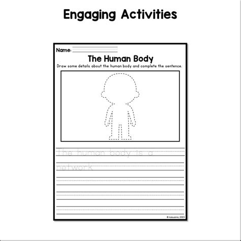 The Human Body 1st Grade Knowledge ELA Worksheets Made By Teachers