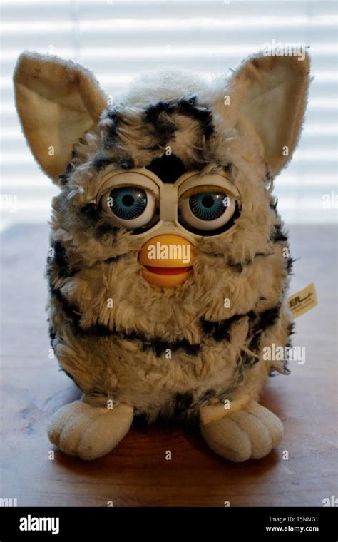 Original Furby 70 800 Vintage 1998 Atelier Yuwa Ciao Jp