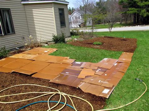 How To Shred Cardboard For Compost And Worm Bins 5 Ways