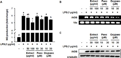 Figure From Anti Inflammatory Effects Of Moutan Cortex Radicis