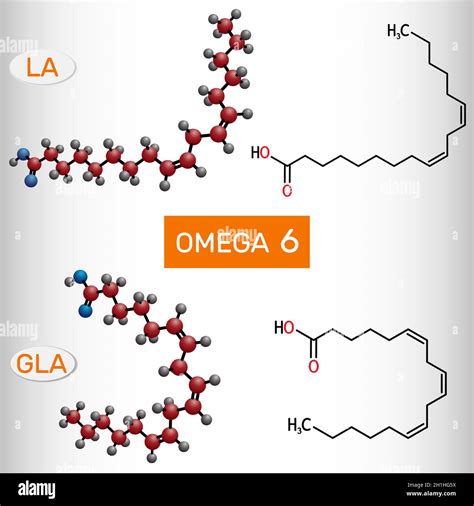 Omega 6 Polyunsaturated Fatty Acids Linoleic Acid LA Gamma