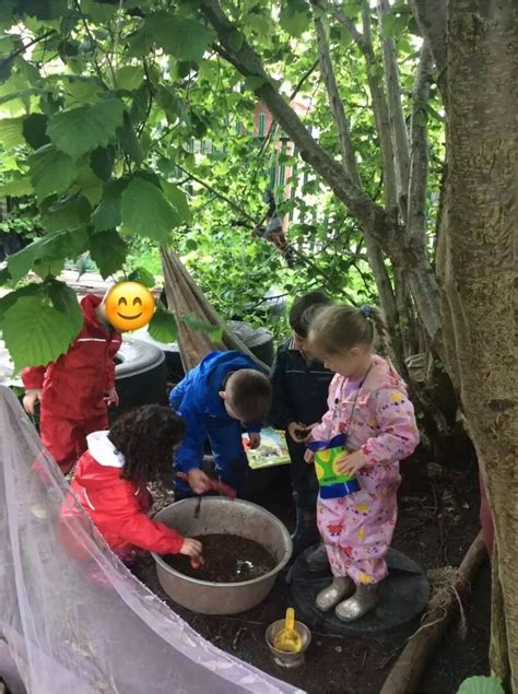 The Willow Tree Nursery School Ofsted Reports Reviews 2024