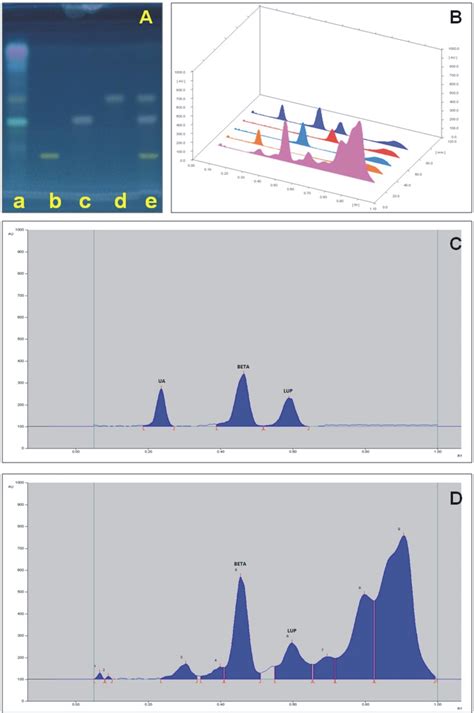 Hptlc Plate Photo A And Overlay Of The Chromatograms B Showing The