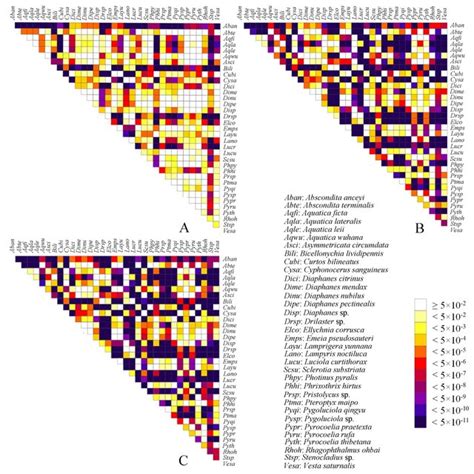 Heterogeneous Sequence Divergence Of Mitochondrial Genomes Of