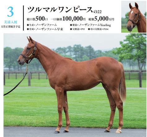 【7月デビュー】シルク2023年度募集馬答え合わせ② バッタの一口馬主データ分析室